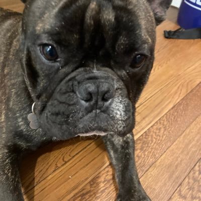 msunhappyface's profile picture. maker
aka msunsmiley