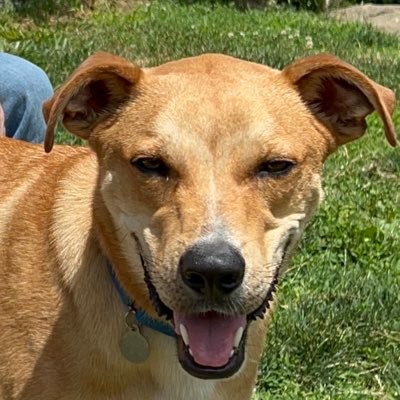 wtfisgoingon777's profile picture. Just trying to have a life