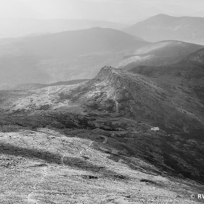 testlaunch4's profile picture. 