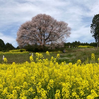 omiyu4132's profile picture. King & Prince/髙橋海人くん💐/無言フォロー失礼します🙇🏻‍♀️/無言フォロー大歓迎🫶🏻/ Mazy NightとJohnnys配信LIVE〜沼落ち♡/ King & Princeに恩返しがしたい☺️よろしくお願いします！#KingandPrince