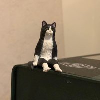 タポピー (@tapitapibm) 's Twitter Profile Photo