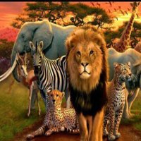 عالم الغابة (@q8sma) 's Twitter Profile Photo عالم الغابة (@q8sma) 's Twitter Profile Photo