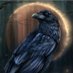 Cody Blanton (@acrraven) Twitter profile photo Cody Blanton (@acrraven) Twitter profile photo