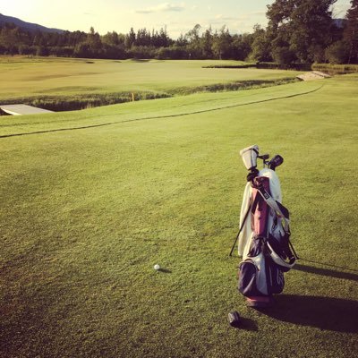 dfavreau11's profile picture. 