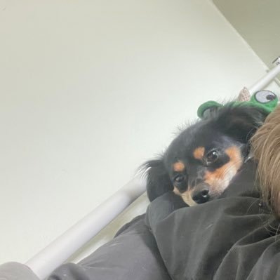 JustAnotherTori's profile picture. JESUS has my heart. I'm currently stuck in this awkward stage known as my 20s