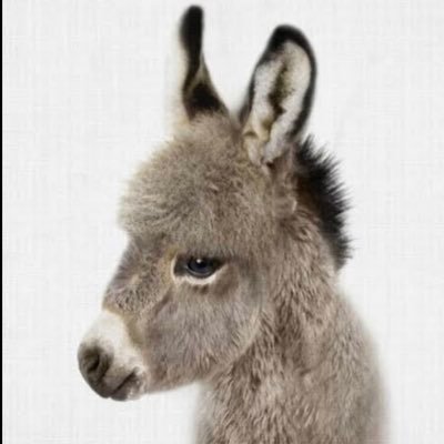 nomagoma's profile picture. 