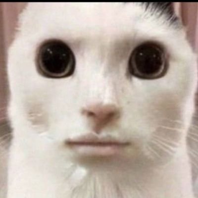 Yenjiiiiさんのプロフィール画像