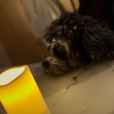 ren93461269's profile picture. Art titleのドラムです。 @art_title_info /Dr&Chorus