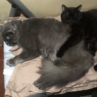 john_clave's profile picture. 