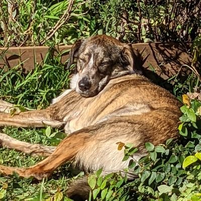 iamMarkbman's profile picture. 