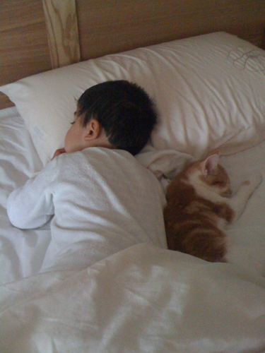 HelenFoley1's profile picture. 