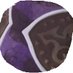 Brown Purple (@brownpurple) Twitter profile photo Brown Purple (@brownpurple) Twitter profile photo