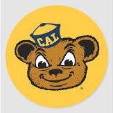 CalBearstein's profile picture.