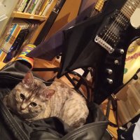 Hikutsu (@hikutsu696) Twitter profile photo
