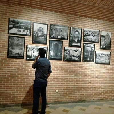 پدر گربههایی که اولش هیچی از هکسره نمیدونست، ولی الان فوق دکتراش رو داره