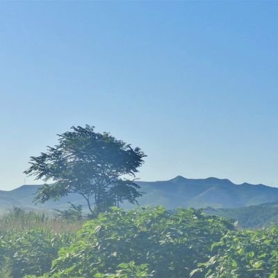 wng07724432's profile picture. 