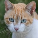 Mary Bowyer - @MaryBow33829615 - Twitter