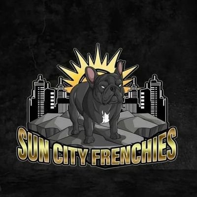 📥 inbox me withyour bully🐕 pics with its name let me make a dope logo for em😍at a cool price 💯