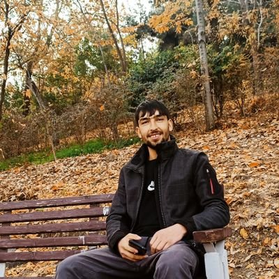 پس زبان محرمی خود دیگرست
هـــمدلی از هـــــمزبانی بهترست