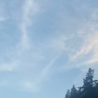 シ (@strawbe33728785) 's Twitter Profile