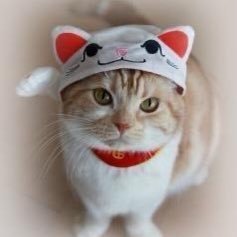 kirara3385's profile picture. 🐥👑美しい彼✨️🫶ファンタちゃん🫶LDH🫶