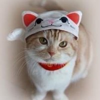 Angle (@kirara3385) 's Twitter Profile