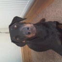 karina marsh - @xxkarina21xx - Twitter