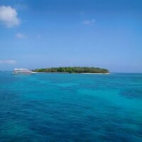 RJ Donofrio (@rjboston) 's Twitter Profile