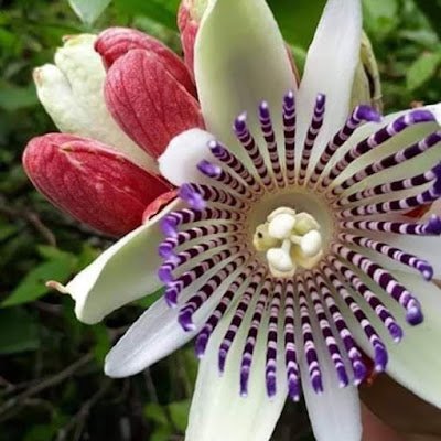 CarmenG78572729's profile picture. 