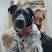 Wouter de Boer (@weedebee) 's Twitter Profile