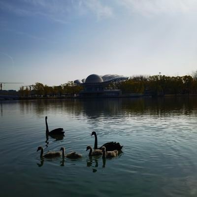 Leuchtturm2022's profile picture. 