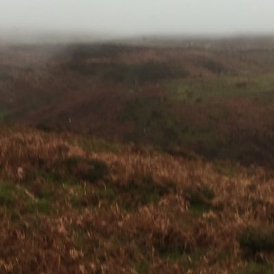 editingmadeeasy's profile picture. I want to make your content go to the next level whether that’s thumbnails or edits.