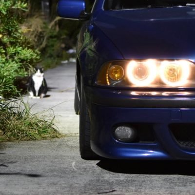 kuukiirehakai's profile picture. えぼはちさんの飼い犬(@evo_hachi) ベンツ乗ってるガチ引きニート コロッケ届くのが2067年6月 また車が増えたよやったね