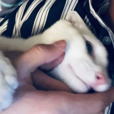 xviaotuziyu's profile picture. 分享日常