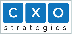 CXO_Strategies's profile picture. Finance & Accounting and Marketing Services Firm.