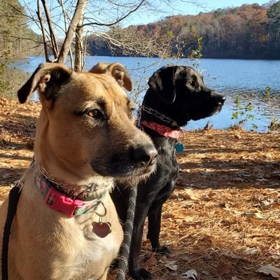 MTomcsi's profile picture. Chemist, accidental engineer, husband, father, coach. All views expressed are mine.