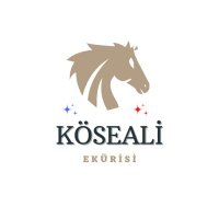 Süleyman Yılmaz Köseali (@yilmazkoseali) 's Twitter Profile Photo Süleyman Yılmaz Köseali (@yilmazkoseali) 's Twitter Profile Photo