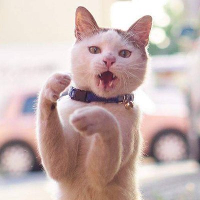 007_MartinL's profile picture. #Nachdenken, was war | Nachdenken, was ist | Nachdenken, was kommt | Nachdenken, was kluge Entscheidungen sind | Nachdenken, wer #IchHabeNichtMitgemacht sagt!