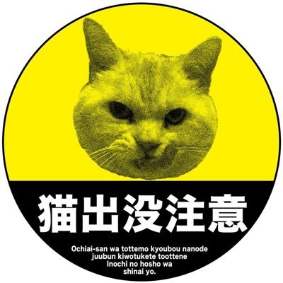 モーションデザイナー・映像ディレクター兼エディターの、こばやしももこです。「もこば屋」という名前でフリーランスやってます。有益なことは99%呟きませんw
経歴:漫才台本作家→イベント企画→バンド広報→Webデザイナー→社内広報(Webと動画)→なう
座右の銘:「いつも心にggrks」
経歴詳細↓