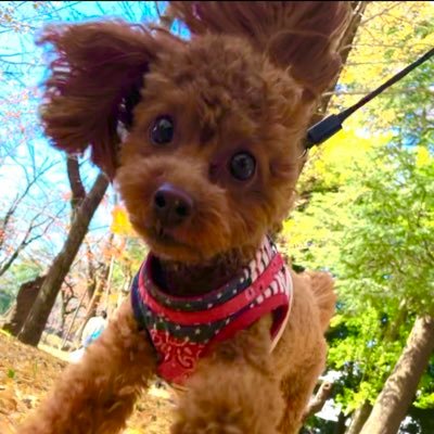 k50ta11012's profile picture. 