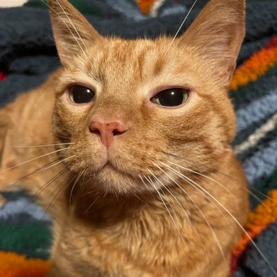 LisaEngels612's profile picture. 