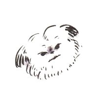 しざ (@sravace) 's Twitter Profile Photo しざ (@sravace) 's Twitter Profile Photo