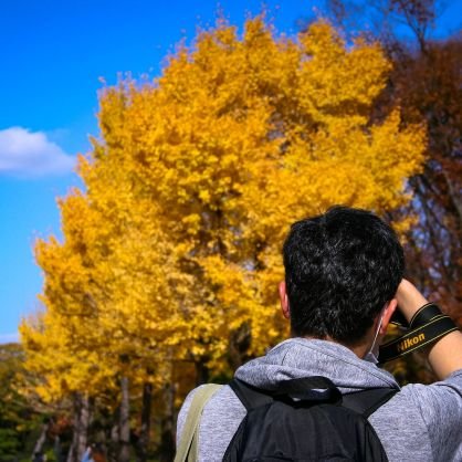 好きなこと:写真撮影、資格取得、貨幣•紙幣収集
資格はいっぱい取った
神戸市内を中心に各地の祭礼やイベントを見に行っては撮ってます
敏馬神社の氏子地区、秋祭りに神輿あります