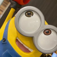 Wakawaka (@mn08027895) 's Twitter Profile