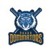 Dhaka Dominators (@DominatorsDhaka) Twitter profile photo