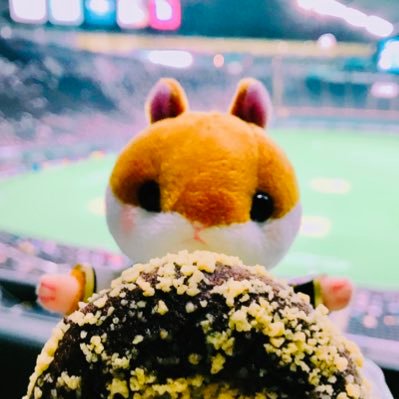 🇯🇵🐹⚾️垢みや世代。 箱推しですが、特に♯34♯85推しです。写真や動画をいっぱいあげてくださる方に感謝しつつ無言フォロー失礼します🙏✨現地→エスコン応援席