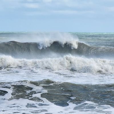 tmluluglim's profile picture. 