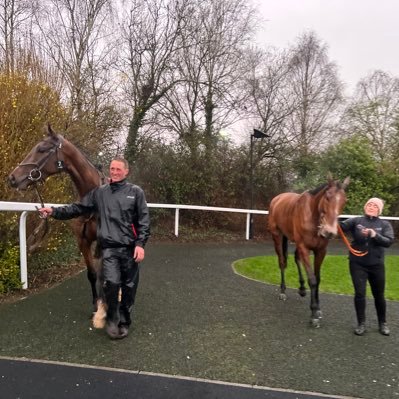 DansmithRacing's profile picture. Horse racing mad… new to this twitter