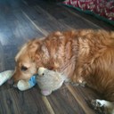 Jacqueline Elder - @jacelder13 - Twitter