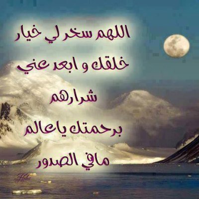 مسلم عربى مصرى وافتخر متابع لأخبار الوطن العرب والعالم اسال الله ان يجعل وجودنا علي هذا الموقع في ميزان اعمالنا الصالحة وان توفقنا لما يرضيك